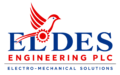 Solomon Berhe Tours